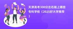 天津高考300分左右能上哪些专科学校（2025好大学推荐）