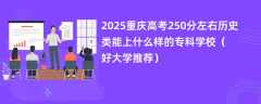 2025重庆高考250分左右历史类能上什么样的专科学校（好大学推荐）