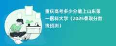 重庆高考多少分能上山东第一医科大学（2025录取分数线预测）