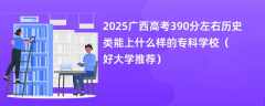 2025广西高考390分左右历史类能上什么样的专科学校（好大学推荐）