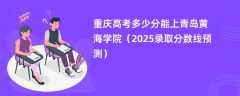 重庆高考多少分能上青岛黄海学院（2025录取分数线预测）