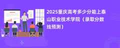 2025重庆高考多少分能上泰山职业技术学院（录取分数线预测）