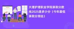 大理护理职业学院录取分数线2025是多少分（今年最低录取分预估）