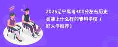 2025辽宁高考300分左右历史类能上什么样的专科学校（好大学推荐）