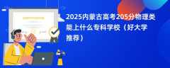 2025内蒙古高考205分物理类能上什么专科学校（好大学推荐）