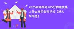 2025青海高考205分物理类能上什么样的专科学校（好大学推荐）
