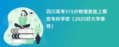 四川高考315分物理类能上哪些专科学校（2025好大学推荐）