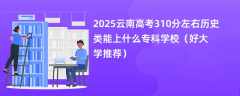 2025云南高考310分左右历史类能上什么专科学校（好大学推荐）