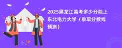 2025黑龙江高考多少分能上东北电力大学（录取分数线预测）