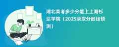 湖北高考多少分能上上海杉达学院（2025录取分数线预测）