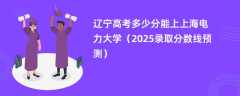 辽宁高考多少分能上上海电力大学（2025录取分数线预测）