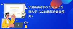 宁夏新高考多少分可以上沈阳大学（2025录取分数线预测）