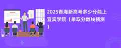 2025青海新高考多少分能上宜宾学院（录取分数线预测）