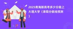2025青海新高考多少分能上大理大学（录取分数线预测）