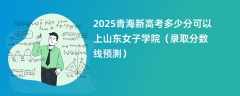 2025青海新高考多少分可以上山东女子学院（录取分数线预测）