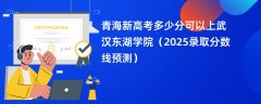 青海新高考多少分可以上武汉东湖学院(2025录取分数线预测)
