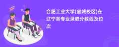 合肥工业大学(宣城校区)在辽宁各专业录取分数线及位次2024