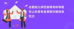 合肥幼儿师范高等专科学校在山东2024各专业录取分数线及位次