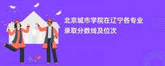 北京城市学院在辽宁2024各专业录取分数线及位次
