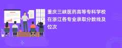重庆三峡医药高等专科学校在浙江各专业录取分数线及位次2024