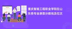 重庆智能工程职业学院在山东2024各专业录取分数线及位次