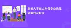 集美大学在山东各专业录取分数线及位次2024