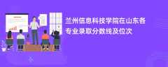 兰州信息科技学院在山东各专业录取分数线及位次2024