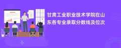 甘肃工业职业技术学院2024在山东各专业录取分数线及位次