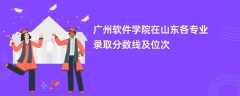 广州软件学院2024在山东各专业录取分数线及位次