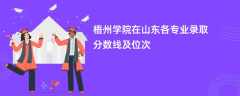 梧州学院2024在山东各专业录取分数线及位次