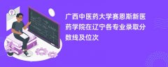 广西中医药大学赛恩斯新医药学院在辽宁2024各专业录取分数线及位次
