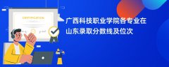 广西科技职业学院各专业在山东录取分数线及位次2024