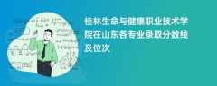 桂林生命与健康职业技术学院在山东2024各专业录取分数线及位次