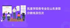凯里学院各专业在山东录取分数线及位次2024