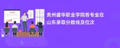 贵州盛华职业学院各专业在山东录取分数线及位次2024