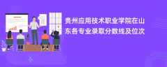 贵州应用技术职业学院在山东各专业录取分数线及位次2024