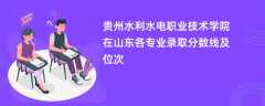贵州水利水电职业技术学院2024在山东各专业录取分数线及位次