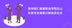 贵州铜仁数据职业学院在山东各专业录取分数线及位次2024
