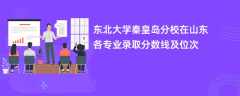 东北大学秦皇岛分校在山东各专业录取分数线及位次2024