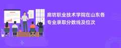 廊坊职业技术学院2024在山东各专业录取分数线及位次