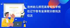 沧州幼儿师范高等专科学校2024在辽宁各专业录取分数线及位次