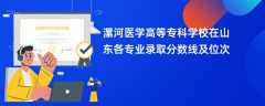 漯河医学高等专科学校2024在山东各专业录取分数线及位次