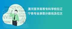 漯河医学高等专科学校2024在辽宁各专业录取分数线及位次