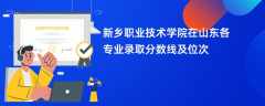 新乡职业技术学院2024在山东各专业录取分数线及位次