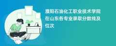 濮阳石油化工职业技术学院在山东2024各专业录取分数线及位次