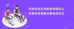 开封文化艺术职业学院2024在山东各专业录取分数线及位次
