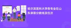 哈尔滨医科大学各专业在山东录取分数线及位次2024
