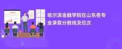 哈尔滨金融学院在山东各专业录取分数线及位次2024