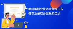 哈尔滨职业技术大学2024在山东各专业录取分数线及位次