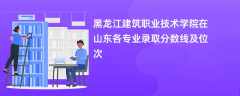 黑龙江建筑职业技术学院在山东2024各专业录取分数线及位次
